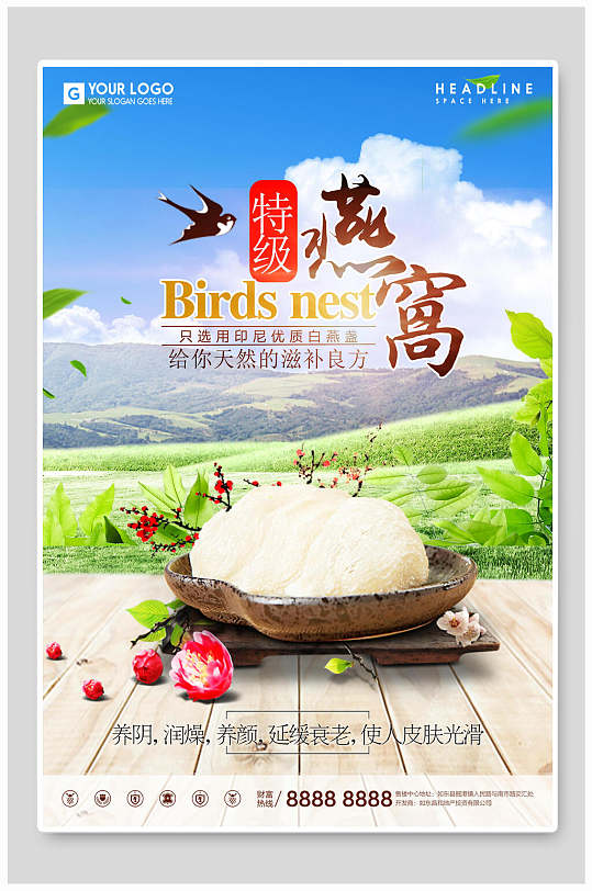 特技燕窝保健养生海报-众图网