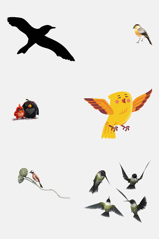 小鸟配图免抠元素素材