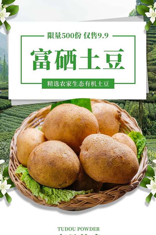 富硒土豆农产品土特产电商详情页
