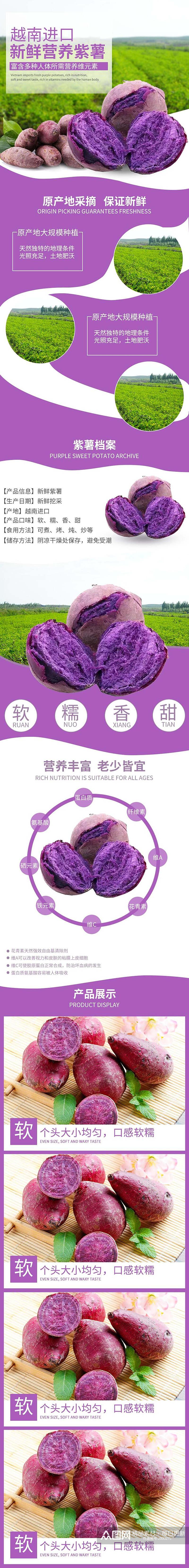 越南进口紫薯农产品土特产电商详情页素材