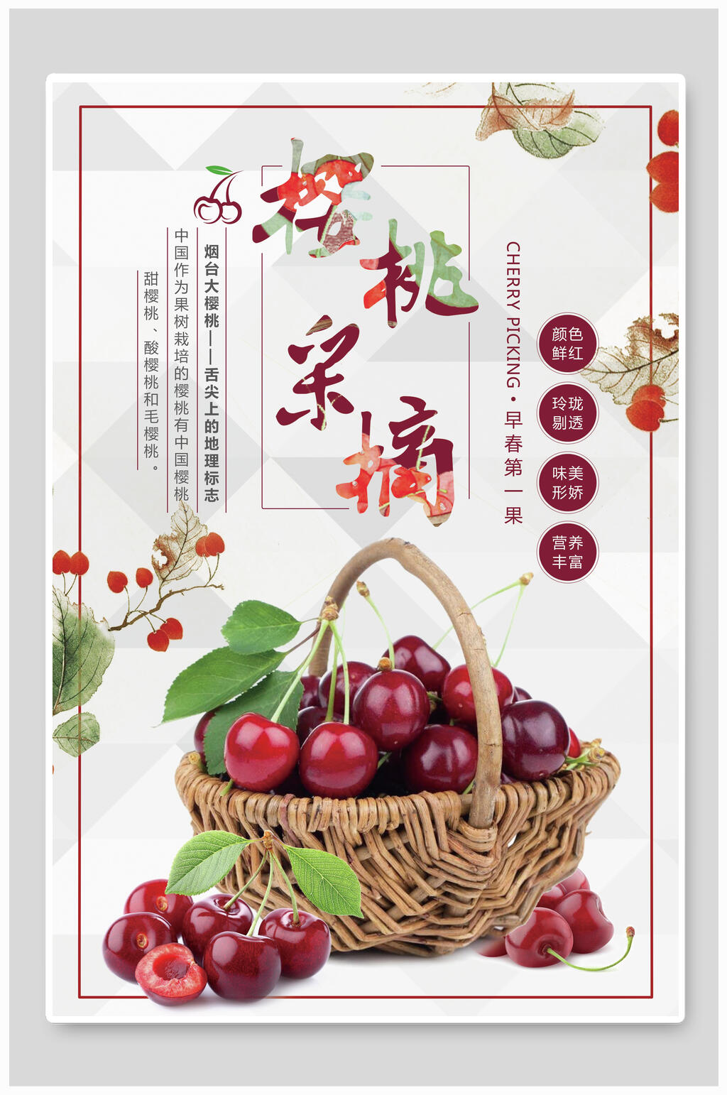 时尚樱桃采摘水果海报素材
