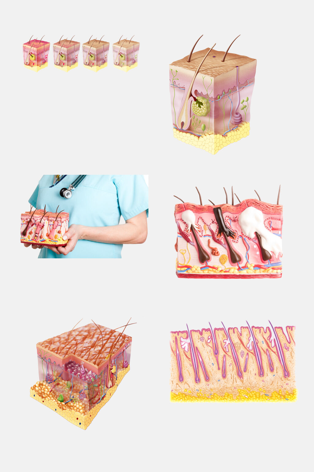生物皮肤护理管理生物皮层免抠元素素材素材