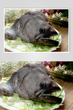 干烧深海鱼头食品摄影图片