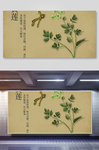 穿心莲本草纲目中草药介绍展板