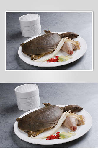 养生炖野生甲鱼汤美食图片