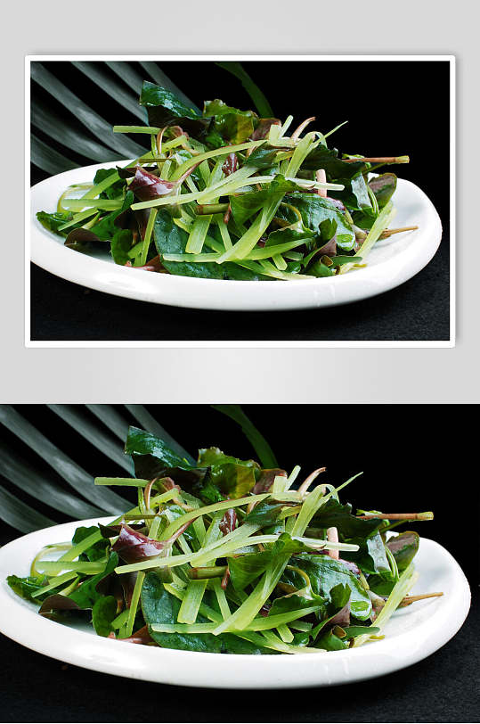 青笋折耳根食品摄影图片
