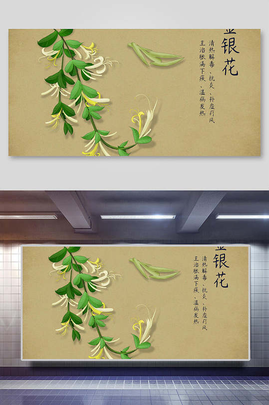 金银花本草纲目中草药介绍展板