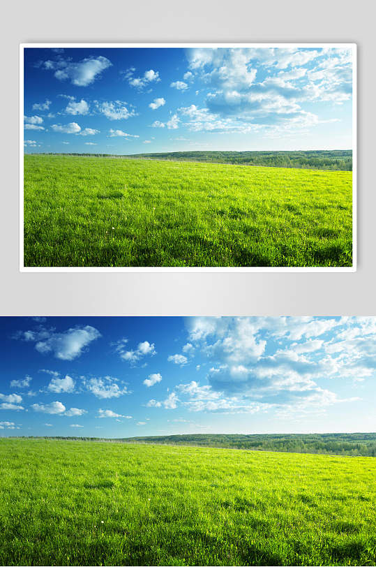 草地天空风景图片草地蓝天摄影图