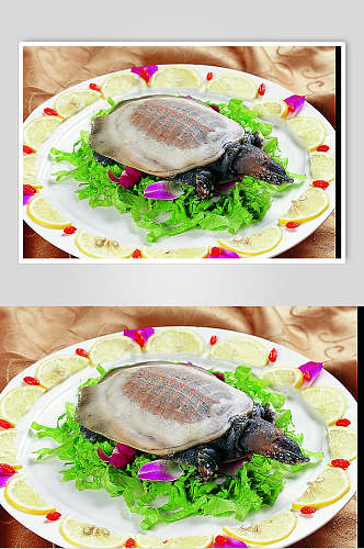 生刮甲鱼餐饮食品图片