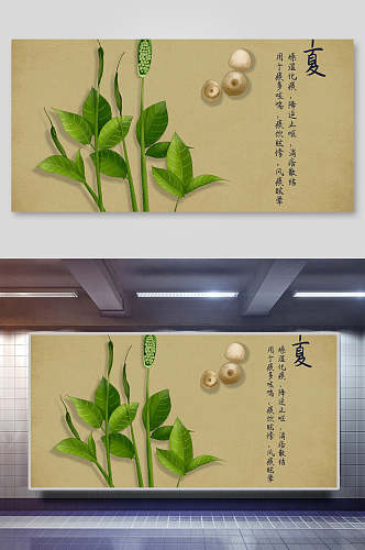 冬虫夏草本草纲目中草药介绍展板