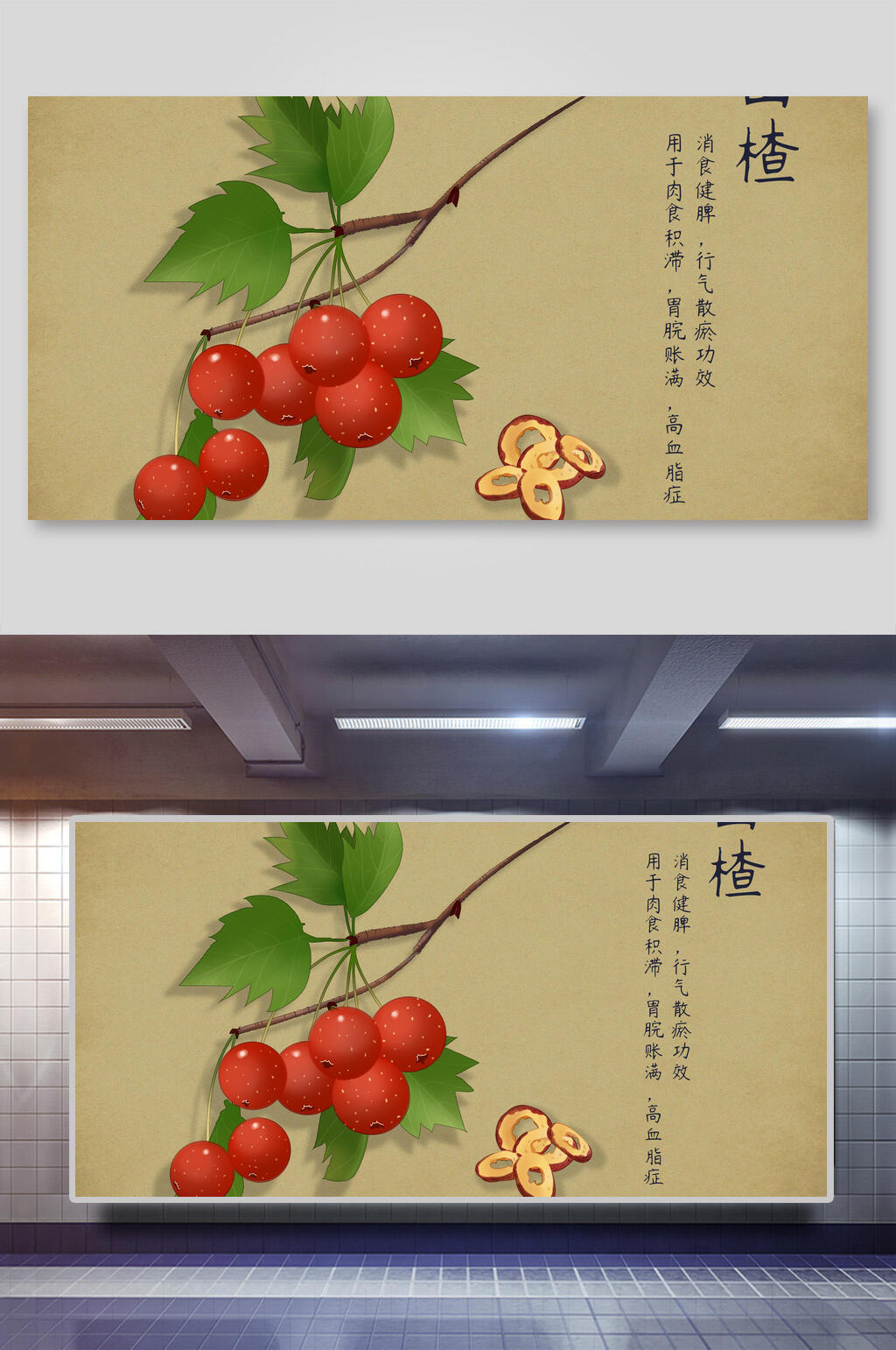 山楂本草纲目中草药介绍展板素材