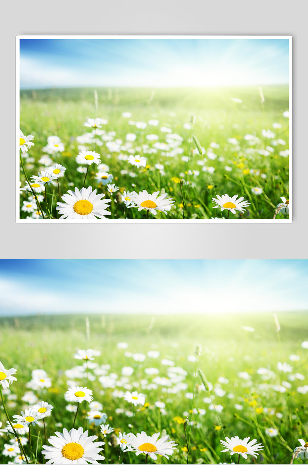 草原背景-高清草原背景素材模板-众图网