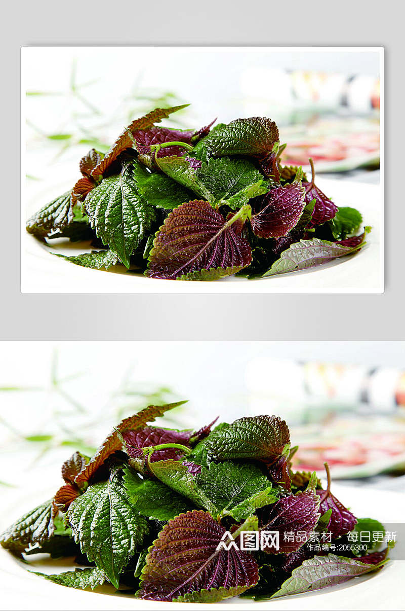 紫苏两联蔬菜配菜生鲜食材摄影素材