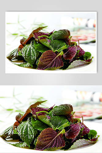 紫苏两联蔬菜配菜生鲜食材摄影