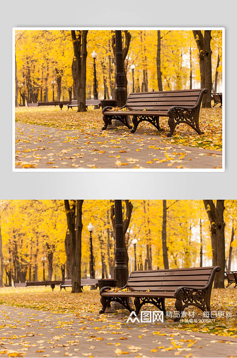 秋天落叶风景图片两联长椅森林落叶摄影图素材