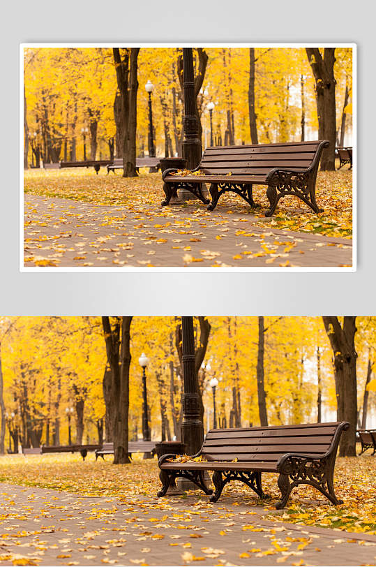 秋天落叶风景图片两联长椅森林落叶摄影图
