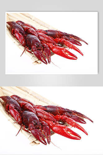 新鲜麻辣小龙虾食物摄影图片