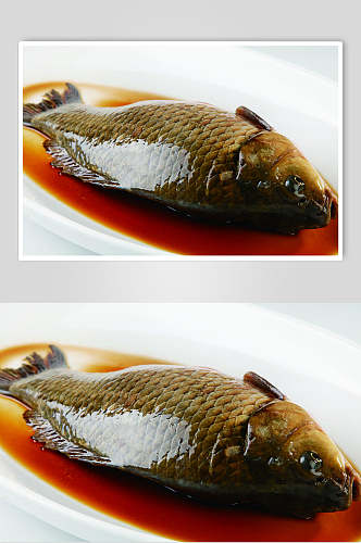 千岛湖野生鲫鱼食物高清图片