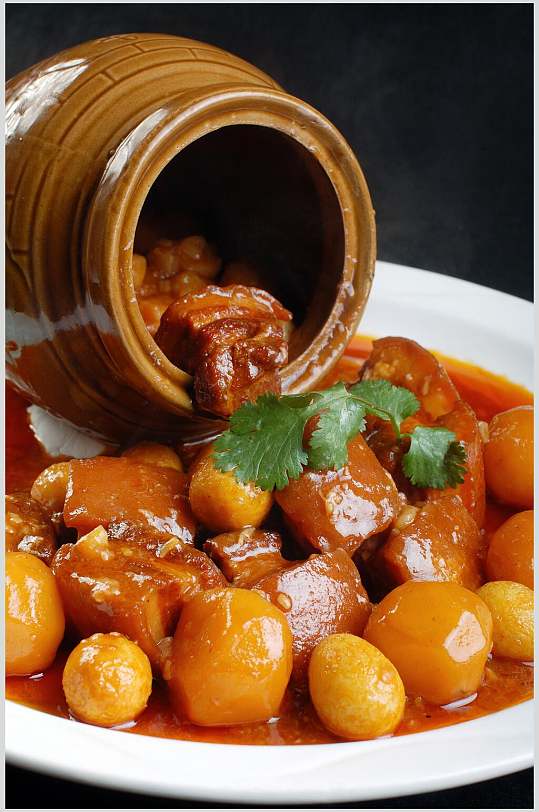 瓦罐红烧肉美食摄影图片