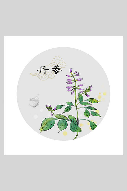丹参本草纲目中草药插画素材-众图网