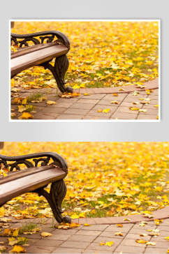 秋天落叶风景图片长椅落叶秋天