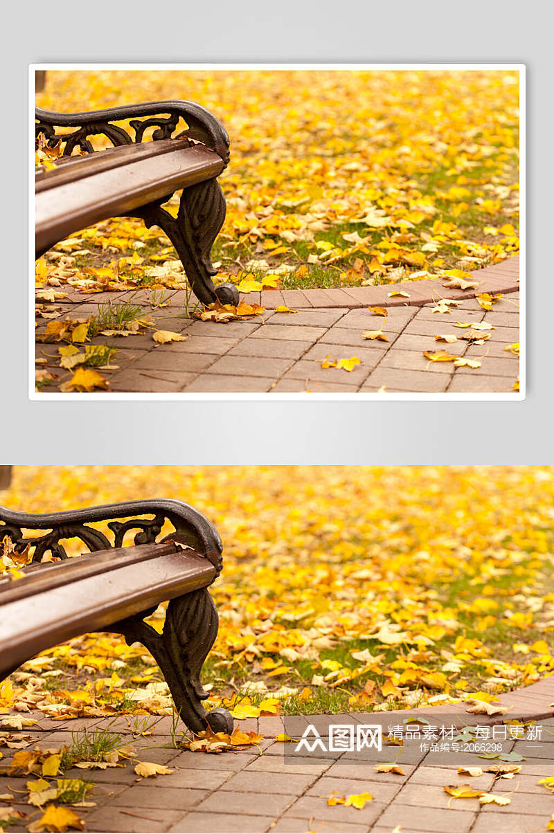 秋天落叶风景图片长椅落叶秋天素材
