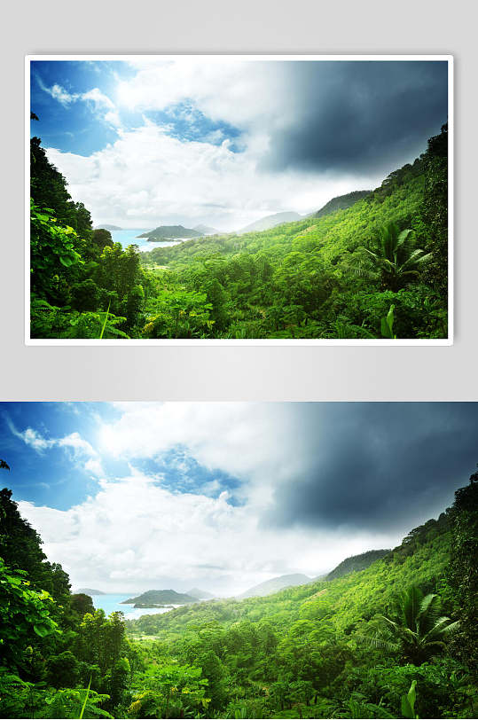 蓝天白云原始森林图片