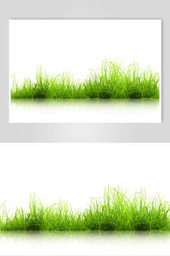 草地草坪图片两联草地边框摄影图