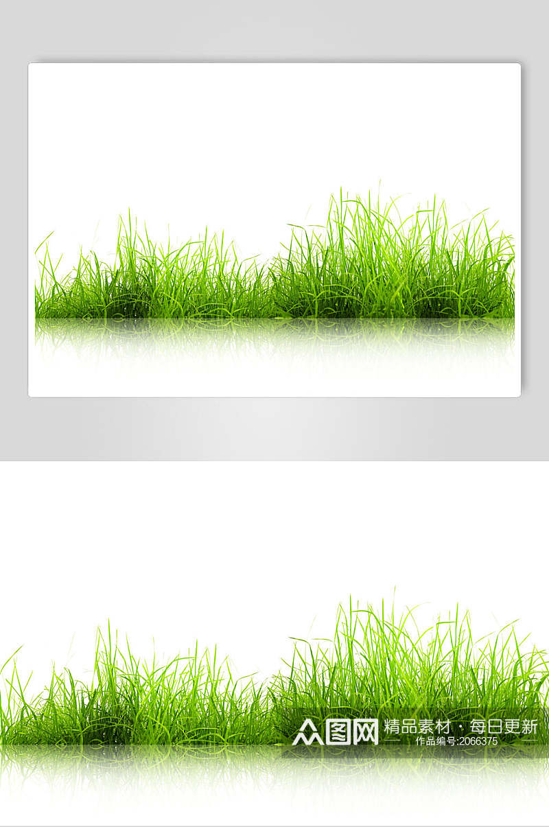 草地草坪图片两联草地边框摄影图素材