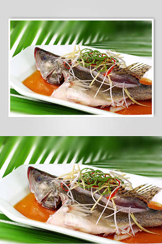 海河鲜清蒸桂鱼食品摄影图片