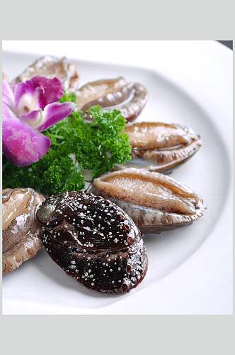 海鲜鲍鱼仔食品摄影图片