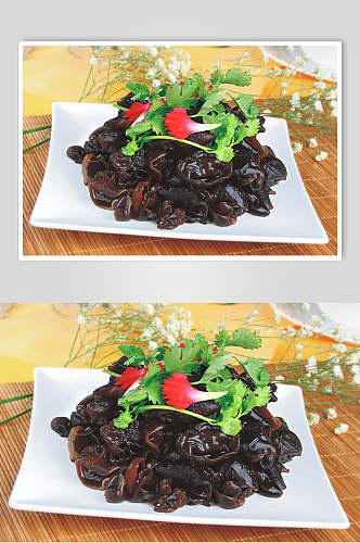 新鲜香菜拌木耳食物摄影图片