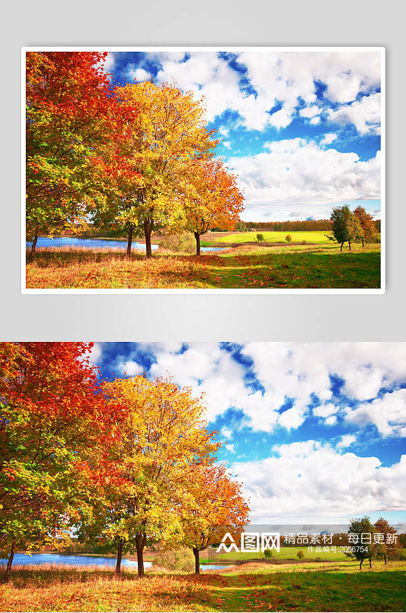 秋天落叶风景图片两联蓝天森林素材