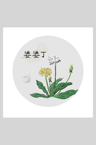 婆婆丁本草纲目中草药插画素材