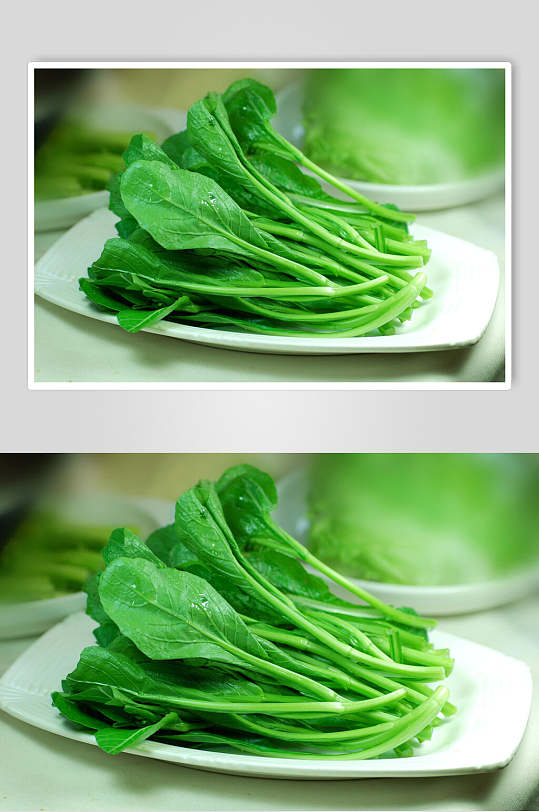 绿色菜心美食食品图片