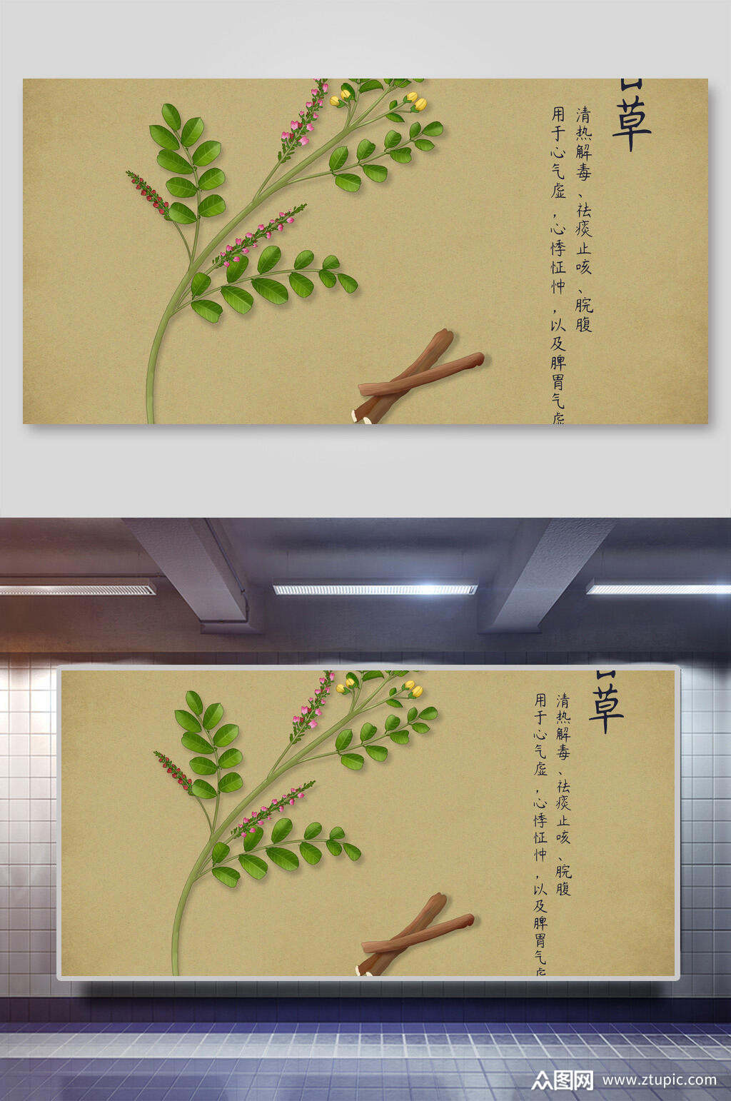 鱼腥草本草纲目中草药介绍展板素材