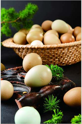 新鲜生态野鸡蛋食物摄影图片