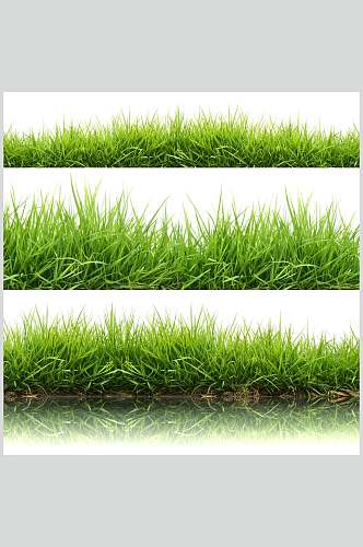 草地草坪图片三联草垫子摄影视觉图