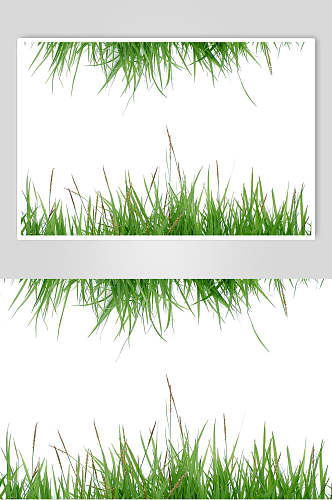 草地草坪图片草地边框两联摄影视觉图