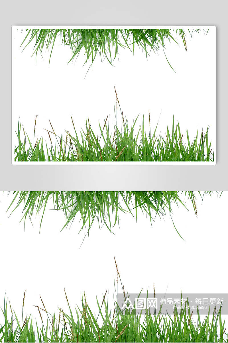 草地草坪图片草地边框两联摄影视觉图素材