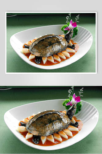 洞庭野生龟美食摄影图片
