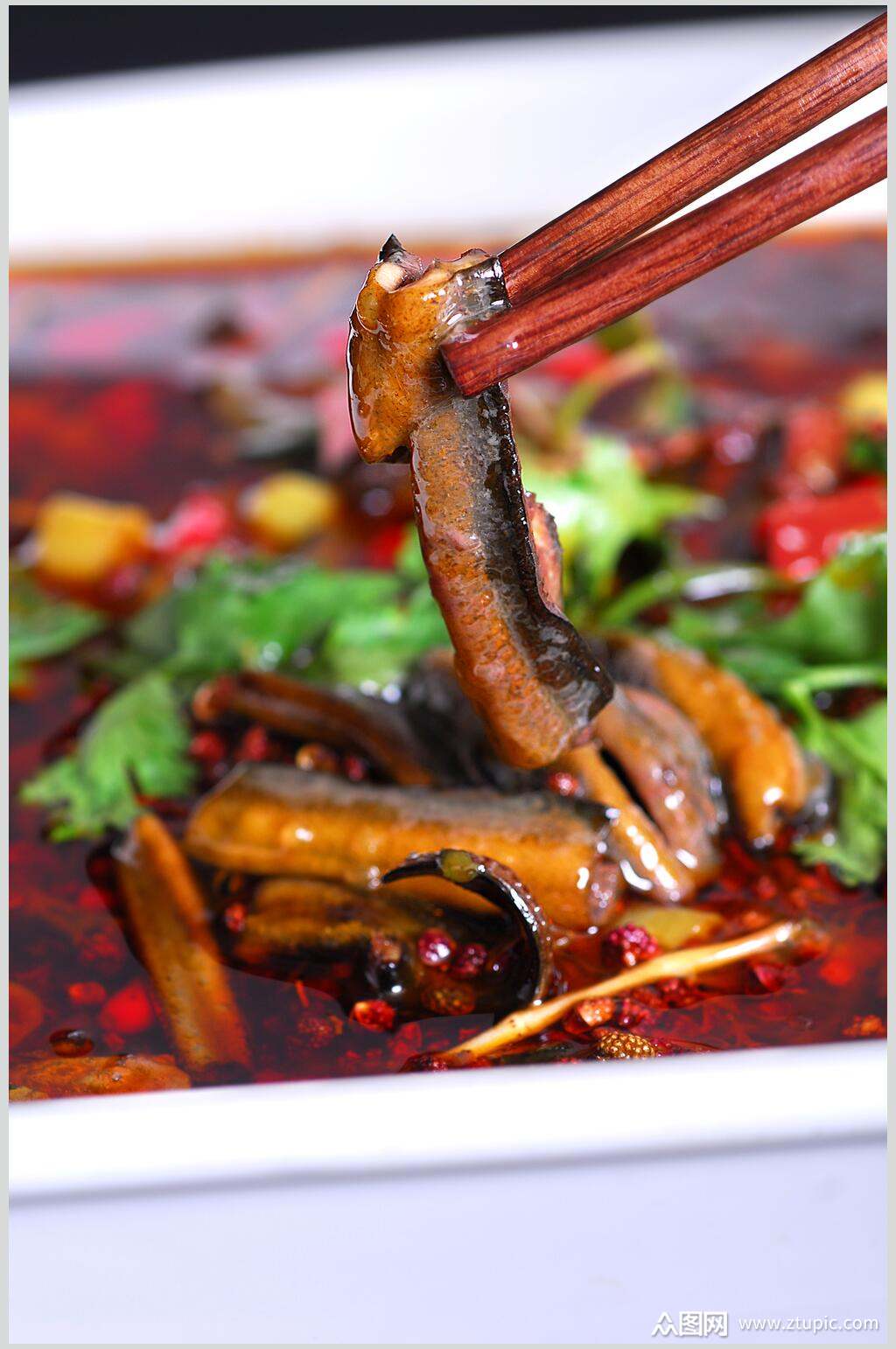 飘香土鳝鱼美食摄影图片素材