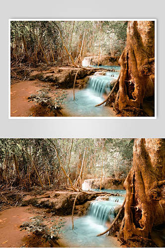 原始森林图片两联大树和瀑布摄影视觉