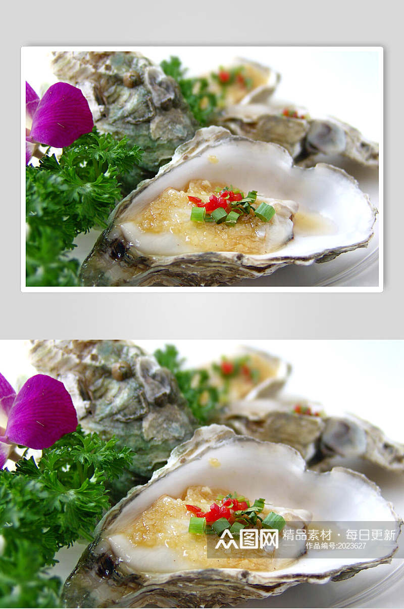健康美味海鲜生蚝美食摄影图片素材