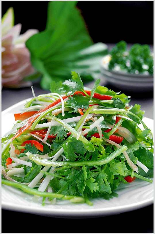 东北老虎菜食品摄影图片