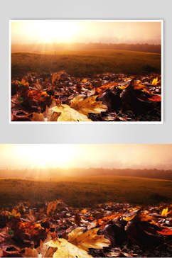 秋天落叶风景图片两联摄影视觉图落日