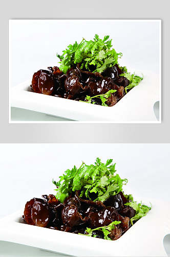 新鲜香菜黑木耳食物摄影图片