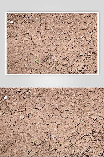 干旱土地主题图片