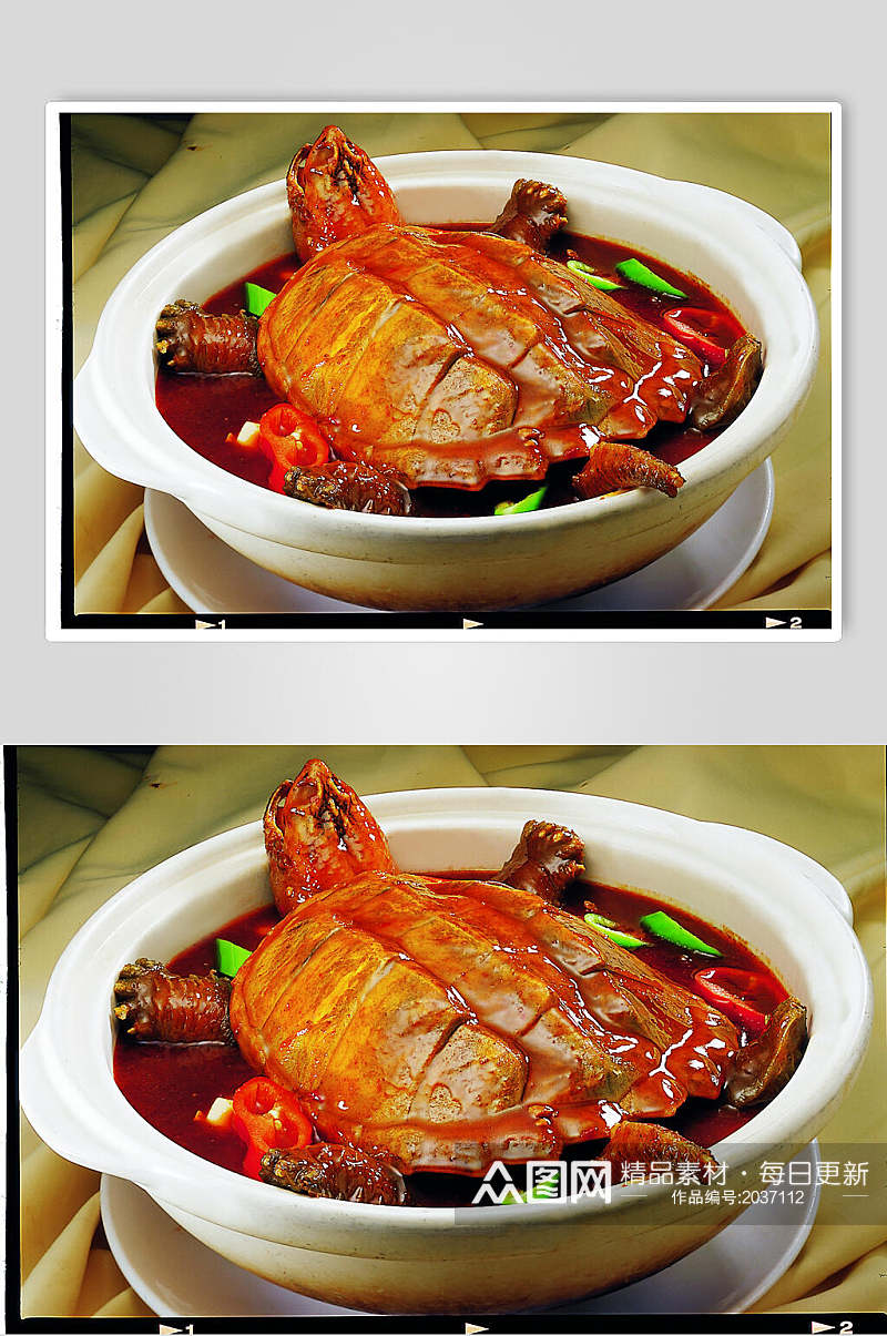 红煨美国鳄鱼龟食物高清图片素材