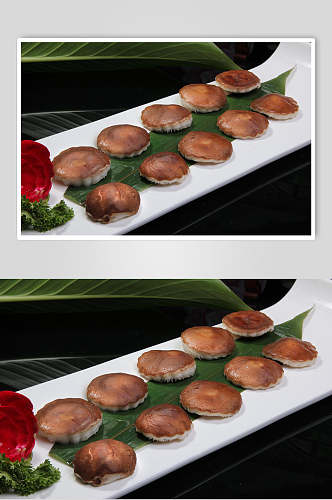 野生鲜香菇美食食品图片